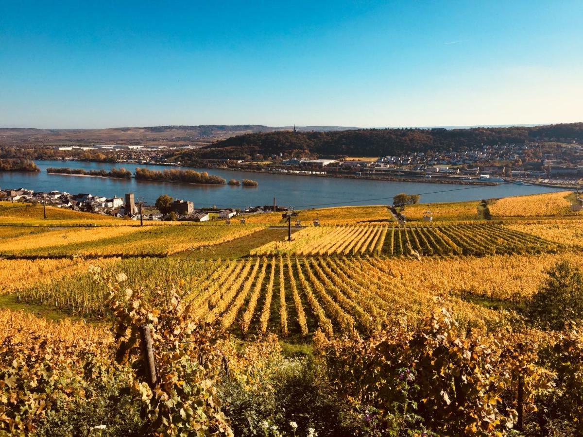 Hotel Altdeutsche Weinstube Rüdesheim am Rhein Exterior foto